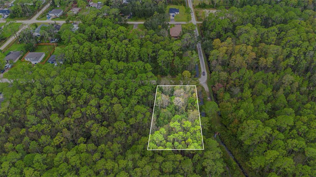 An aerial view shows a rectangular, wooded vacant lot outlined in white near a road — EAST PARKWAY, DELAND, FL