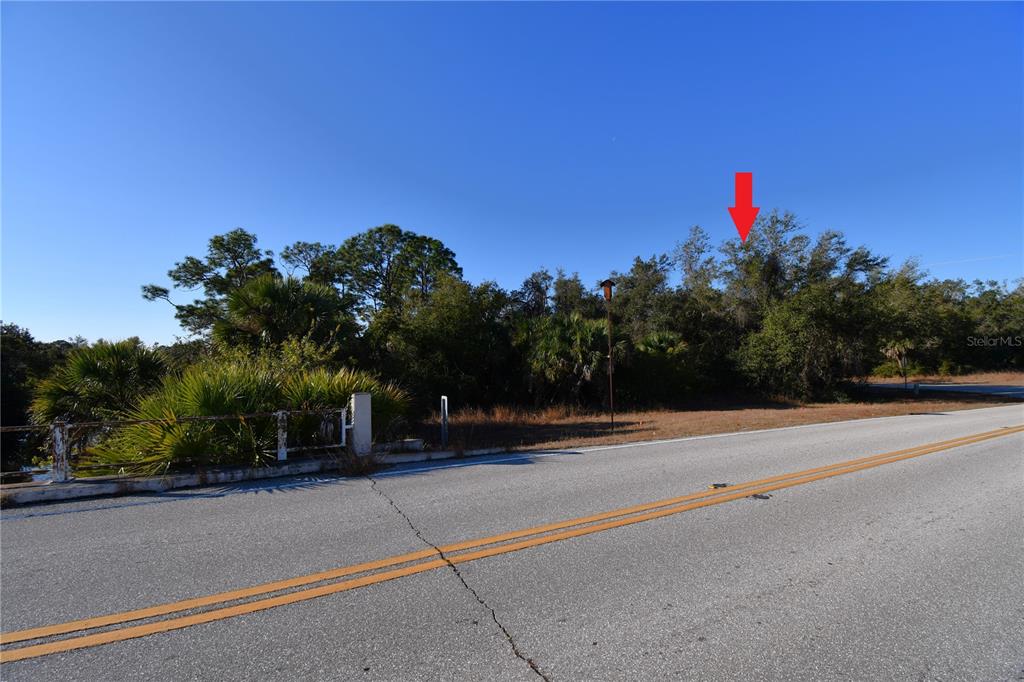 A paved road runs alongside a wooded lot with a red arrow pointing toward trees — 17255 WINTERGARDEN AVENUE, PORT CHARLOTTE, FL