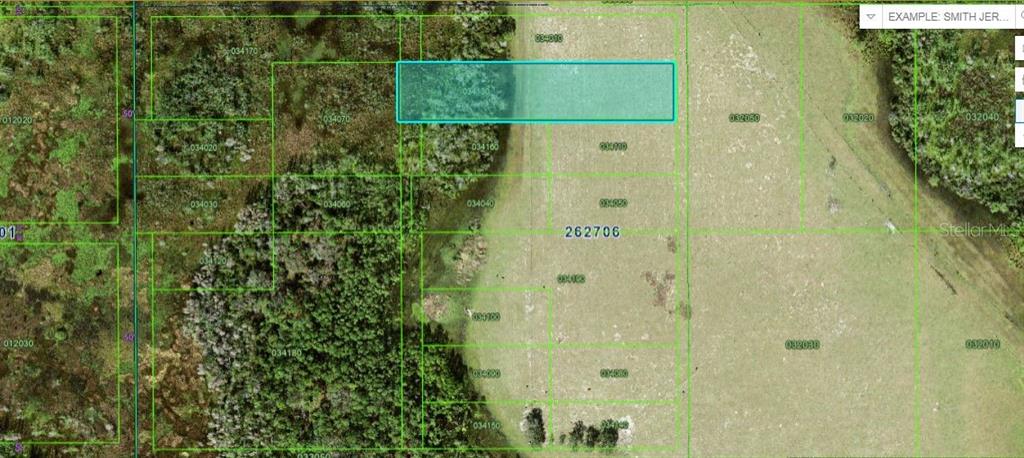 This is a map showing a highlighted rectangular land parcel with surrounding lots and vegetation — OLD POLK CITY RD, POLK CITY, FL