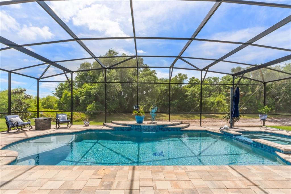 A screened-in swimming pool and spa with a paver deck overlooking a wooded area — 10260 SPRING LAKE DRIVE, CLERMONT, FL