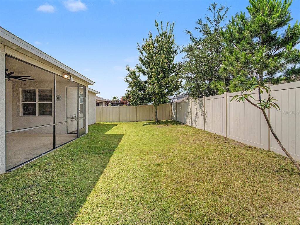 A fenced backyard features a screened-in patio, a small tree, and green grass — 11626 LAKE LUCAYA DRIVE, RIVERVIEW, FL