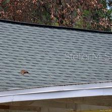 A close-up view of a dark green shingled roof with a small brown debris patch — 8869 E OGDEN LANE, FLORAL CITY, FL