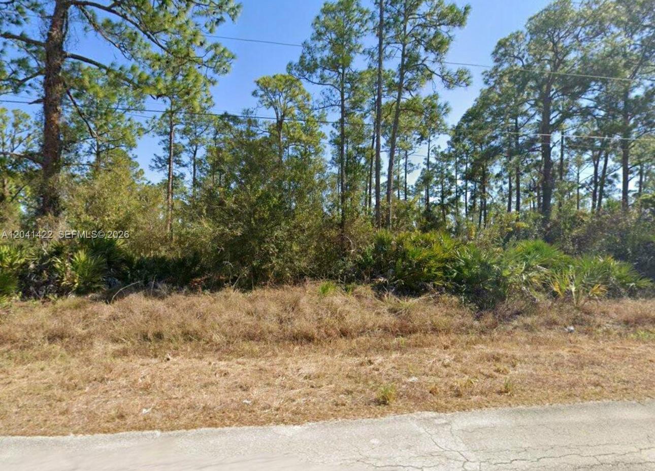 A vacant, wooded lot with tall pine trees and low-lying brush along a paved road — 1012 Henry Ave., Lehigh Acres FL 33972, LEHIGH ACRES, FL
