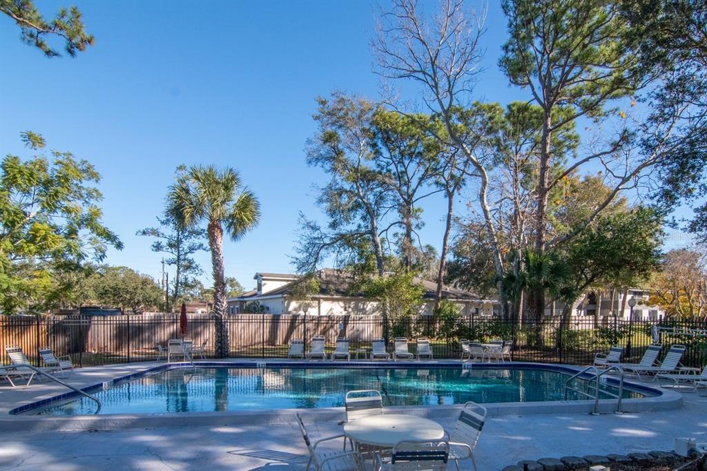 A swimming pool surrounded by a black metal fence, lounge chairs, and tall trees — 2650 COUNTRYSIDE BOULEVARD UNIT F303, CLEARWATER, FL
