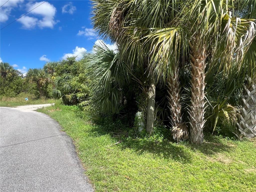 A paved road curves past a grassy area with palm trees and dense vegetation — LOT 6 DENARGO ROAD, NORTH PORT, FL