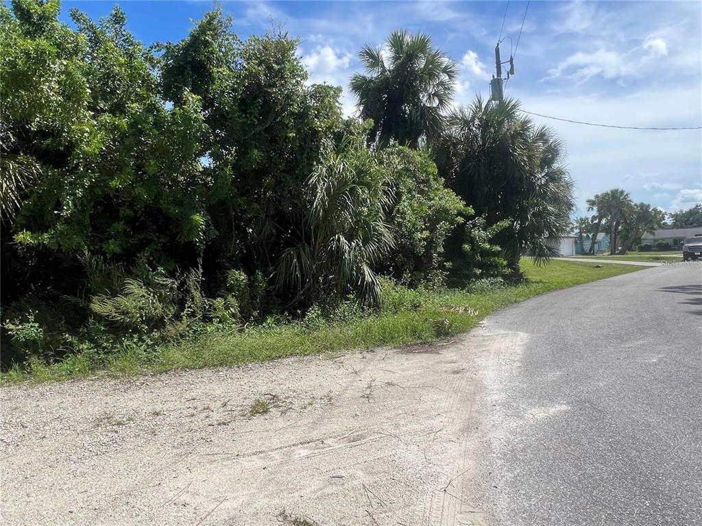 A paved road curves past a vacant, heavily wooded lot with palm trees and utility poles — LOT 6 DENARGO ROAD, NORTH PORT, FL