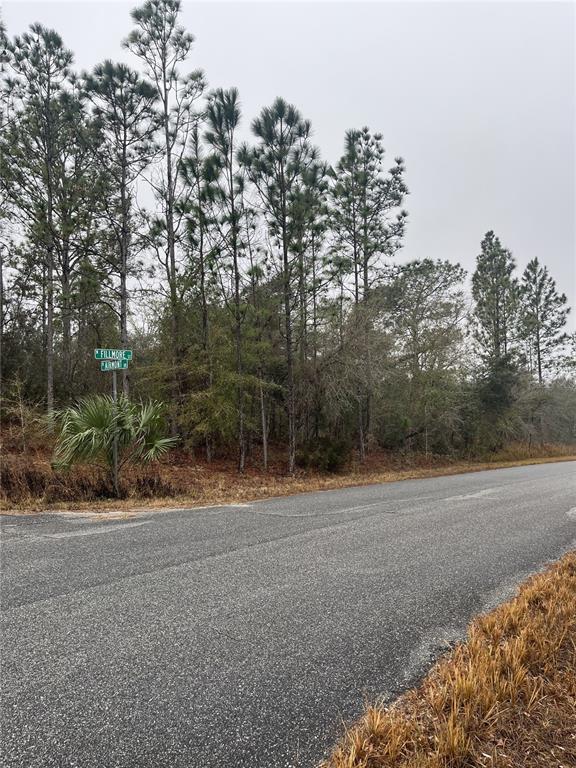 A paved road runs alongside a wooded lot with a street sign at the corner — 6692 N AIRMONT DRIVE, DUNNELLON, FL
