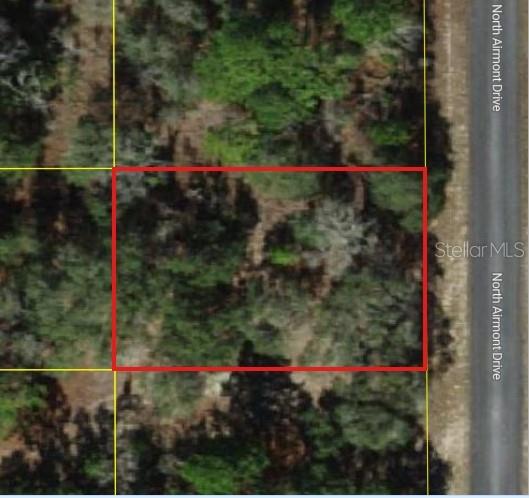 An aerial map view shows a rectangular plot of land outlined in red near a road — 6692 N AIRMONT DRIVE, DUNNELLON, FL
