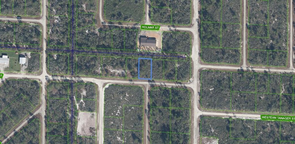 This aerial map shows a vacant rectangular lot highlighted in blue within a residential subdivision — 3507 & 3509 JAMBOREE STREET, LAKE PLACID, FL