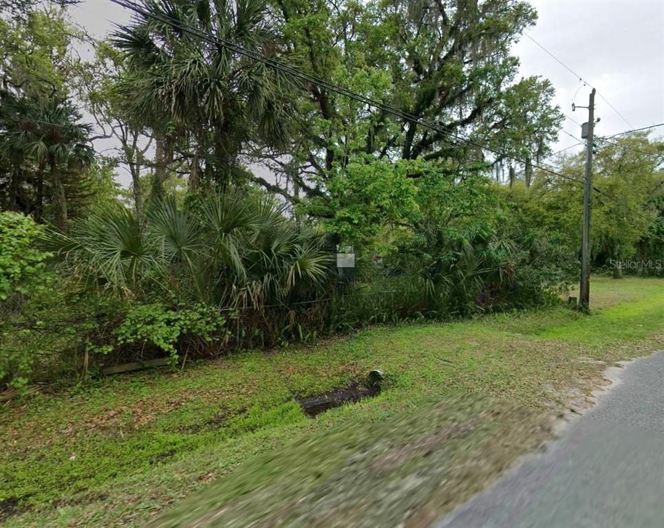 A view of a wooded, overgrown lot with a utility pole beside a paved road — 25232 BARTHOLOMEW STREET, CHRISTMAS, FL
