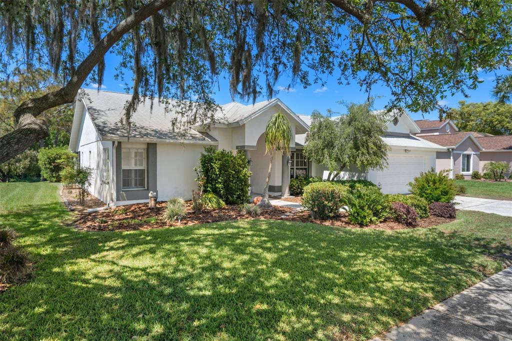 5557 EL CERRO DRIVE