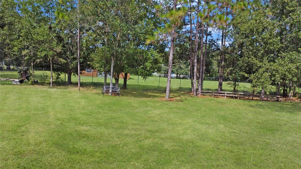 A grassy backyard features a metal bench, mature pine trees, and a wooden fence — CITRUS STREET, KISSIMMEE, FL