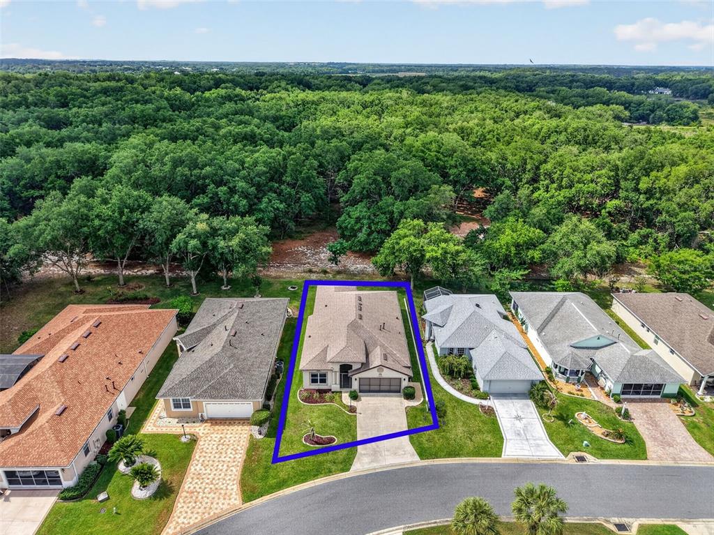 An aerial view shows a single-story house with a blue outline on a suburban lot — 20634 QUEEN ALEXANDRA DRIVE, LEESBURG, FL