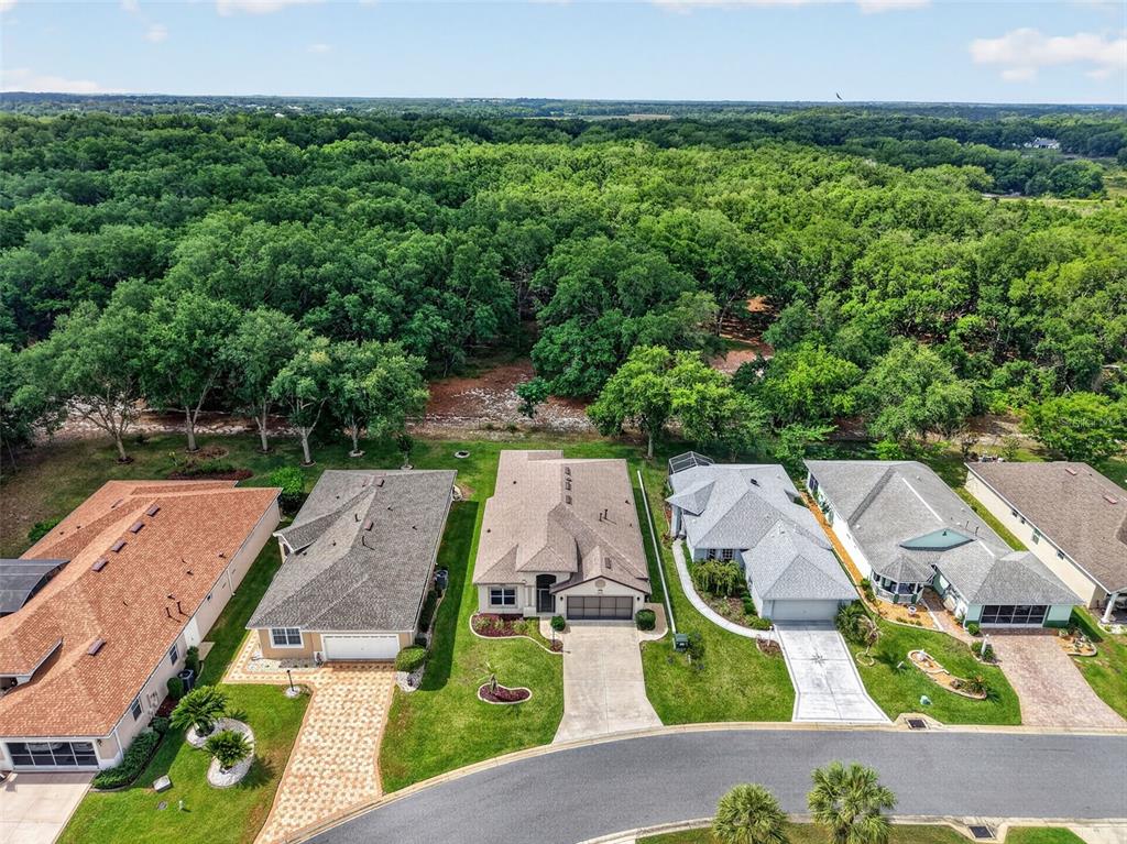 An aerial view shows a row of suburban houses bordering a dense forest — 20634 QUEEN ALEXANDRA DRIVE, LEESBURG, FL