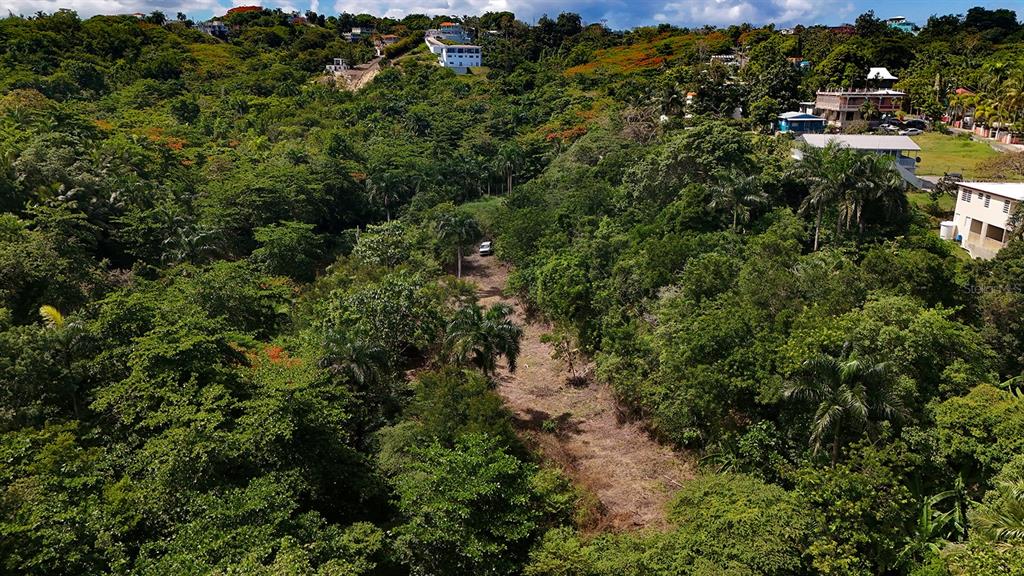 An aerial view shows a cleared path through a lush, green, hilly landscape with houses — PUNTAS PARADISE-- CALLE VISTA DEL MAR, RINCON, PR
