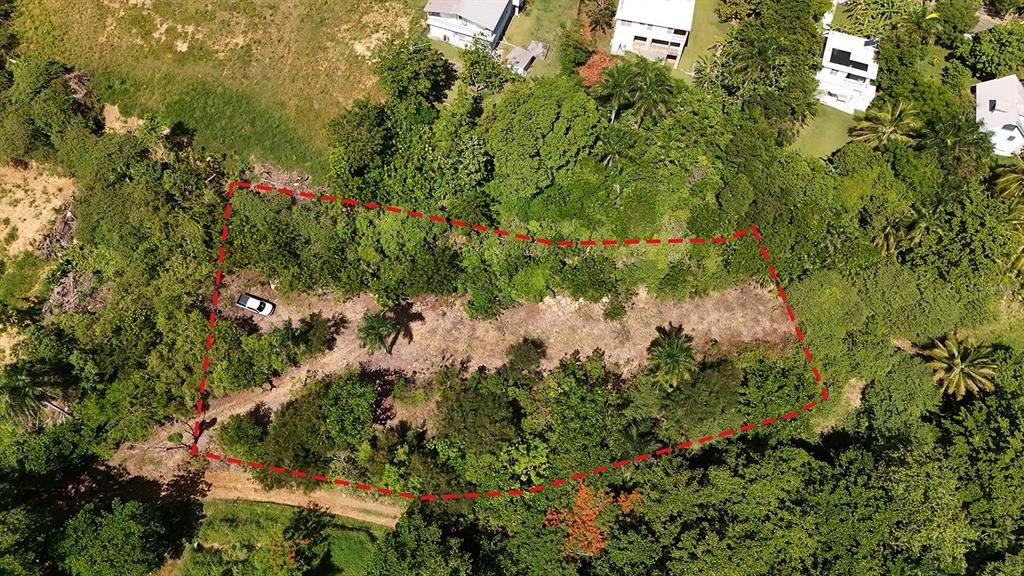 Aerial view of a rectangular plot of land outlined in red, surrounded by dense vegetation — PUNTAS PARADISE-- CALLE VISTA DEL MAR, RINCON, PR
