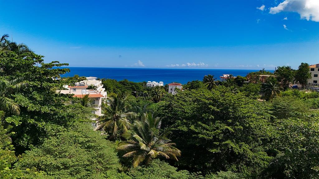 An elevated view of a coastal landscape featuring lush green trees, buildings, and the ocean — PUNTAS PARADISE-- CALLE VISTA DEL MAR, RINCON, PR
