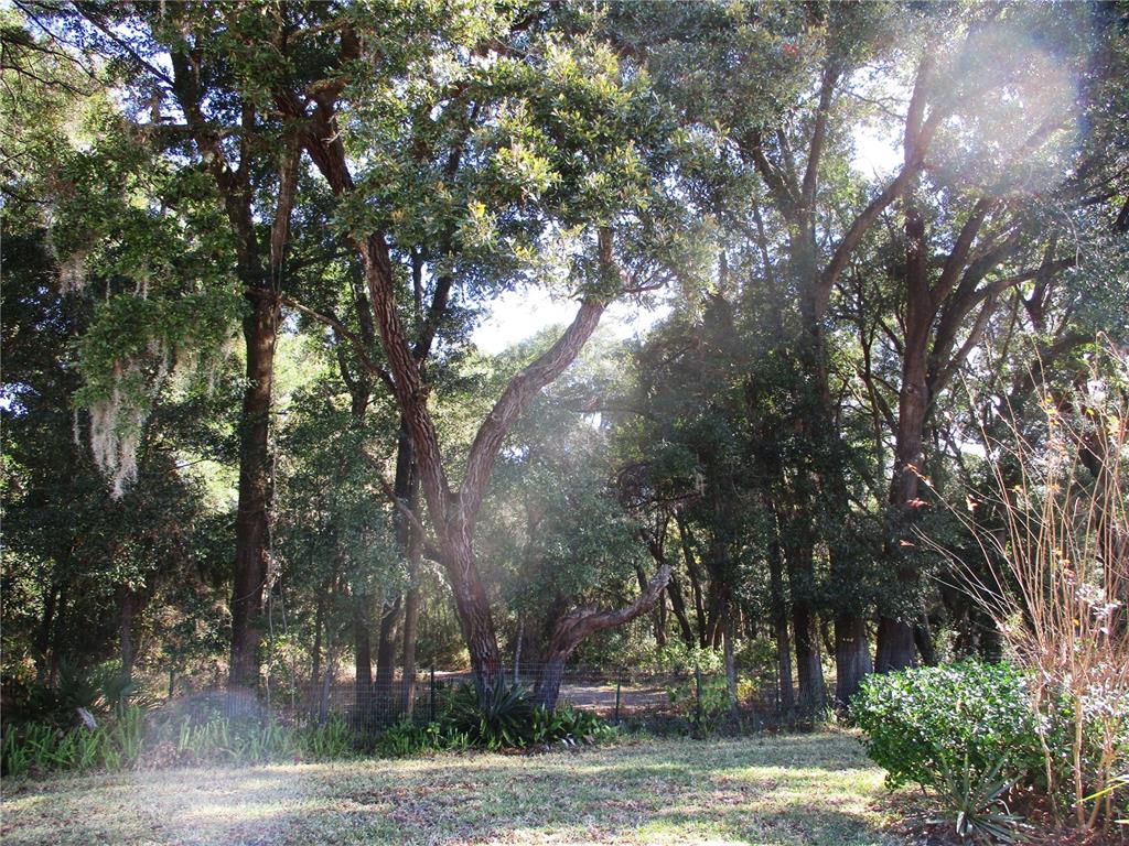 14652 SW 112TH CIRCLE, DUNNELLON, FL — photo 3 of 30