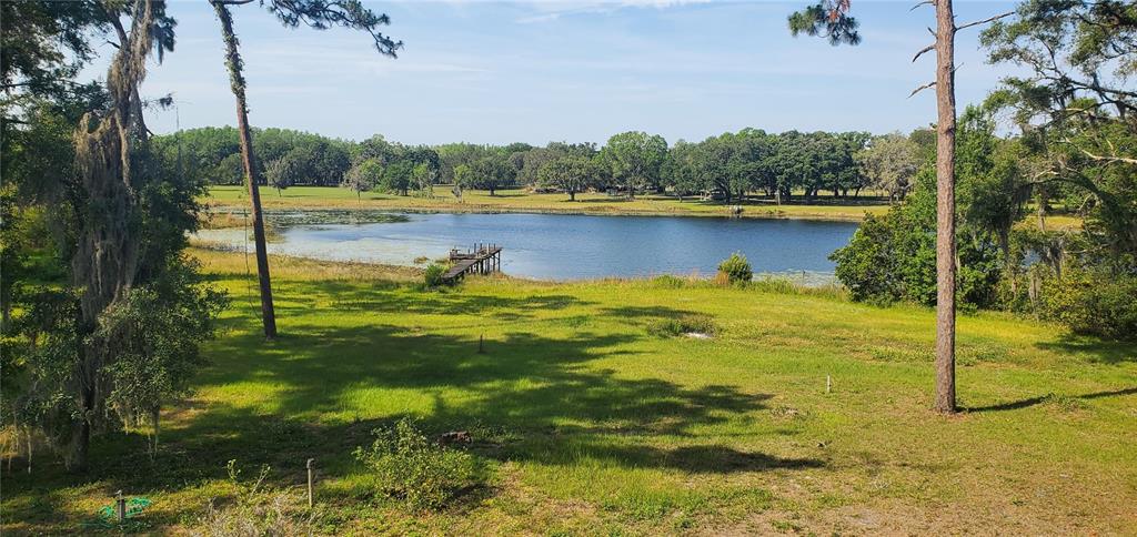 A grassy yard overlooks a small lake with a wooden dock and surrounding trees — 18300 STATE ROAD 52, LAND O LAKES, FL