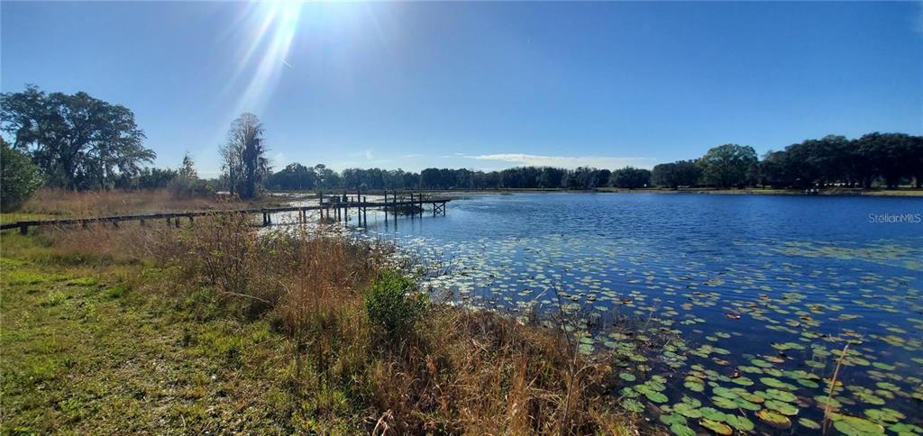 A wooden dock extends into a lake filled with lily pads under a sunny sky — 18300 STATE ROAD 52, LAND O LAKES, FL