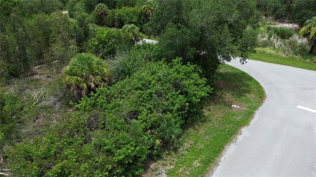 An aerial view shows a paved road curving past a dense, wooded lot with palm trees — 1039 GIBBON STREET, PORT CHARLOTTE, FL