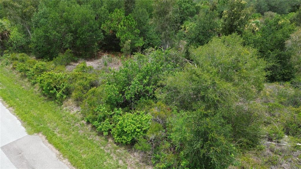 An aerial view shows a wooded, undeveloped lot bordering a paved road — 1039 GIBBON STREET, PORT CHARLOTTE, FL