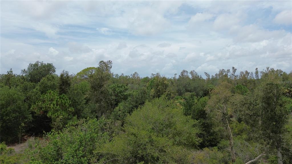An aerial view of a dense, wooded forest under a cloudy blue sky — 1039 GIBBON STREET, PORT CHARLOTTE, FL