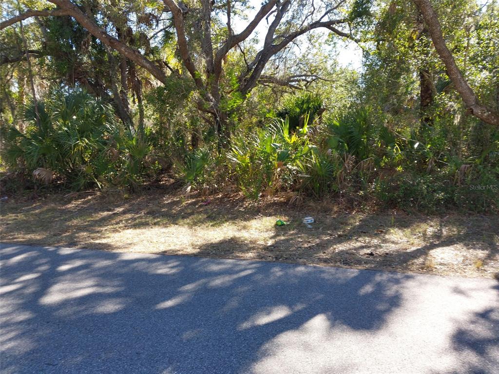 A paved road runs alongside a wooded lot with dense vegetation and palm trees — 343 BAMBOO DRIVE, PORT CHARLOTTE, FL