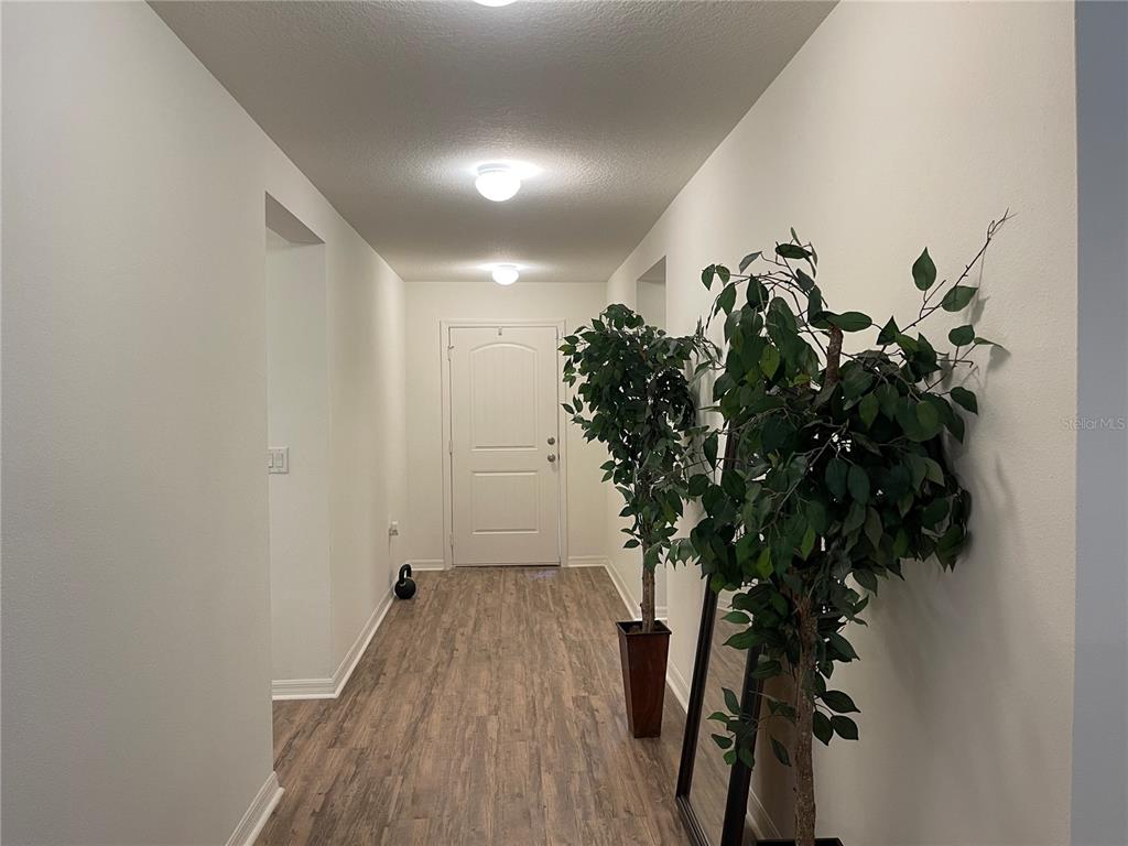 A hallway with wood-look flooring, white walls, two artificial plants, and a front door — 7115 CRUZ COURT, LAKELAND, FL