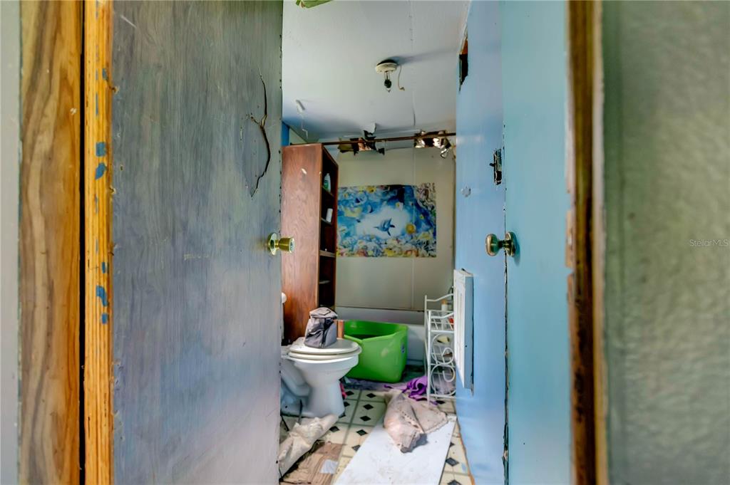 A cluttered bathroom features a toilet, a green basin, and a wall mural — 6602 BROOKRIDGE TRAIL, LAKELAND, FL