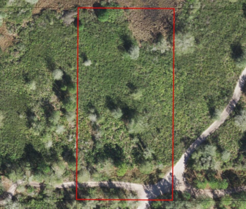 An aerial view shows a rectangular plot of land outlined in red near a dirt road — 0 County Rd 54, FL 33849, FL
