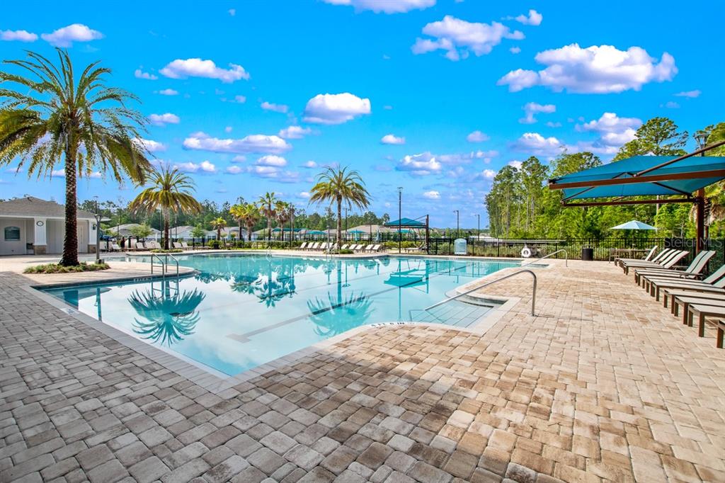 A swimming pool with lounge chairs and palm trees under a bright blue sky — 619 GRAND RESERVE DRIVE, BUNNELL, FL