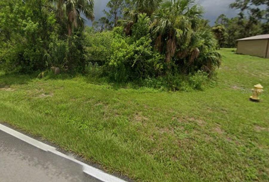 A grassy, undeveloped lot features dense vegetation, palm trees, and a yellow fire hydrant — 13529 CHANCELLOR BOULEVARD, PORT CHARLOTTE, FL