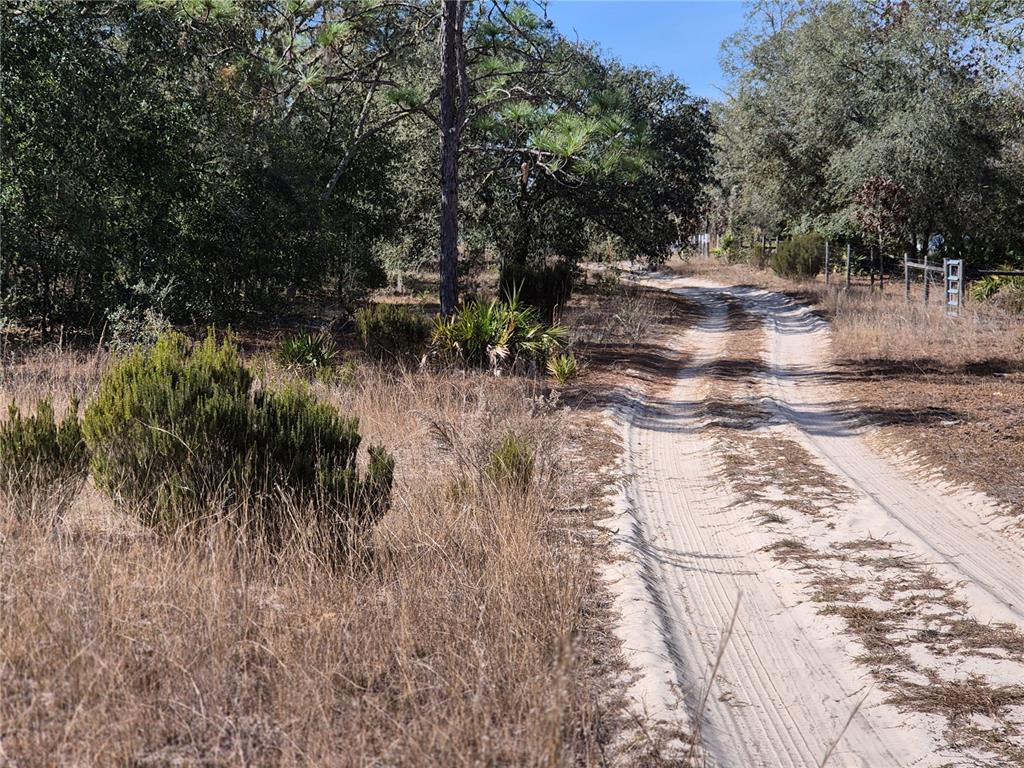 00 NE 78TH LANE, BRONSON, FL — photo 4 of 8