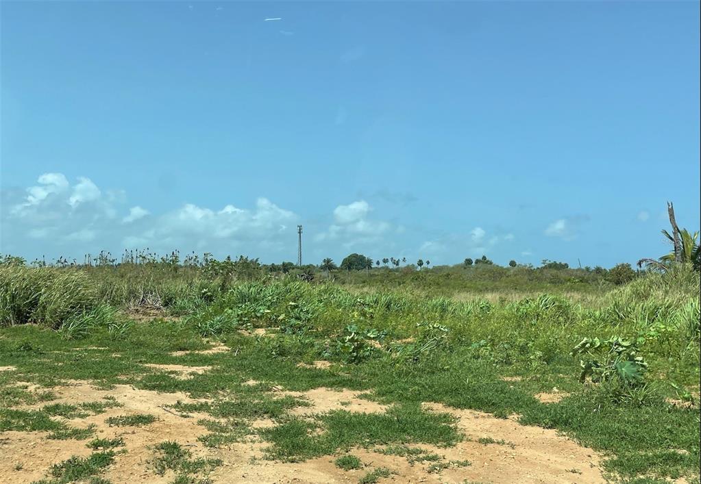 A wide, grassy, and sandy vacant lot under a clear blue sky with a cell tower — CALLE MANUELA LAMELA ABREU STREET, ISABELA, PR