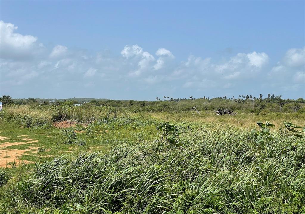 A wide, grassy field stretches toward a distant tree line under a blue sky — CALLE MANUELA LAMELA ABREU STREET, ISABELA, PR