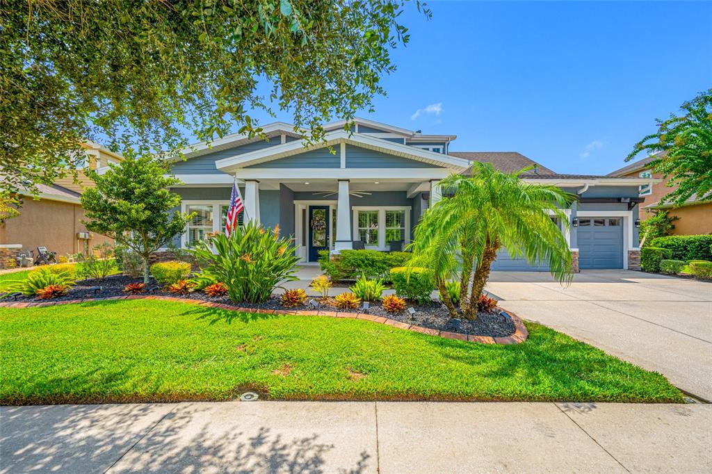 8312 SWISS CHARD CIRCLE