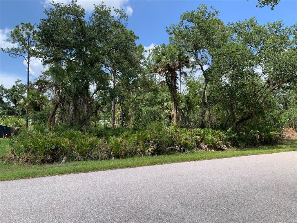 A vacant, wooded lot with dense vegetation and palm trees borders a paved asphalt road — 17496 BILLIAR AVENUE, PORT CHARLOTTE, FL
