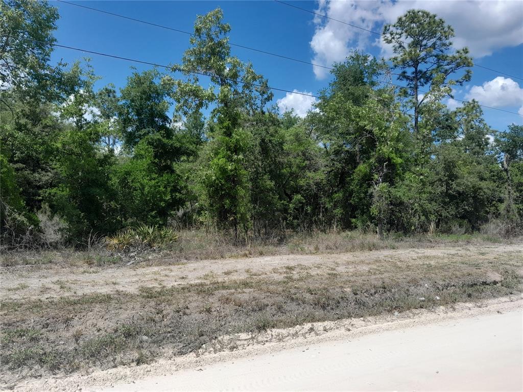 tbd NE 63RD PLACE, WILLISTON, FL — photo 2 of 4