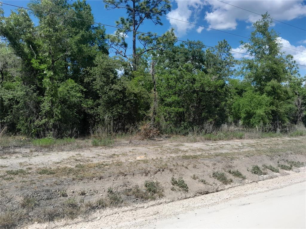 tbd NE 63RD PLACE, WILLISTON, FL — photo 3 of 4
