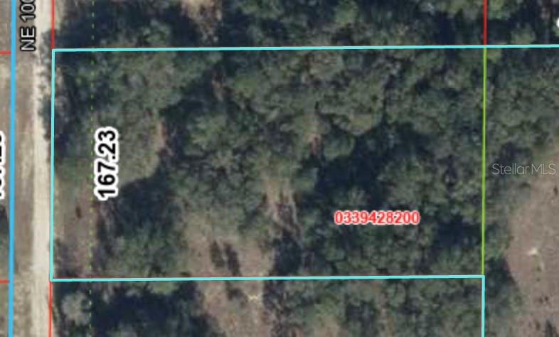 This is an aerial map view of a rectangular, wooded plot of land — TBD NE 100TH AVENUE, BRONSON, FL