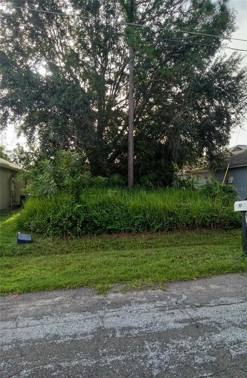 A large, overgrown lot with dense vegetation and a tall tree sits between two houses — MARICOPA DRIVE, KISSIMMEE, FL