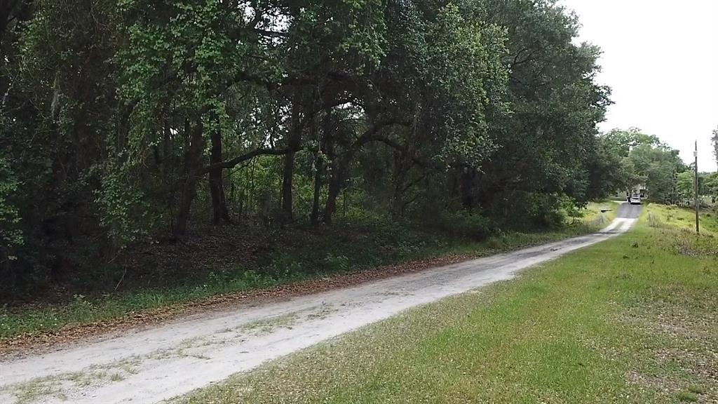 A dirt road runs alongside a dense line of trees next to a grassy field — SE 175TH PLACE, UMATILLA, FL