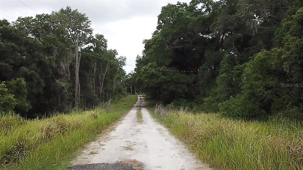 A dirt road stretches through a wooded area with tall grass on both sides — SE 175TH PLACE, UMATILLA, FL