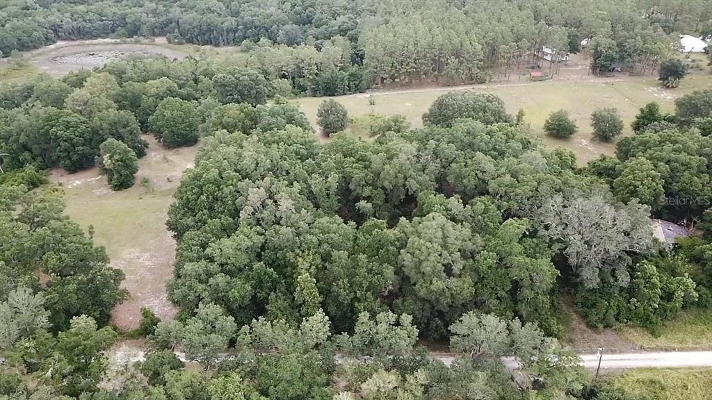 An aerial view shows a wooded lot with a dirt road in the foreground — SE 175TH PLACE, UMATILLA, FL