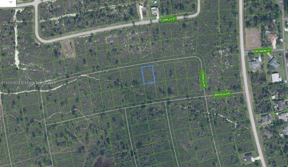 This is an aerial map showing a vacant rectangular lot highlighted in blue — 5032 Corsica Drive, Sebring FL 33872, SEBRING, FL