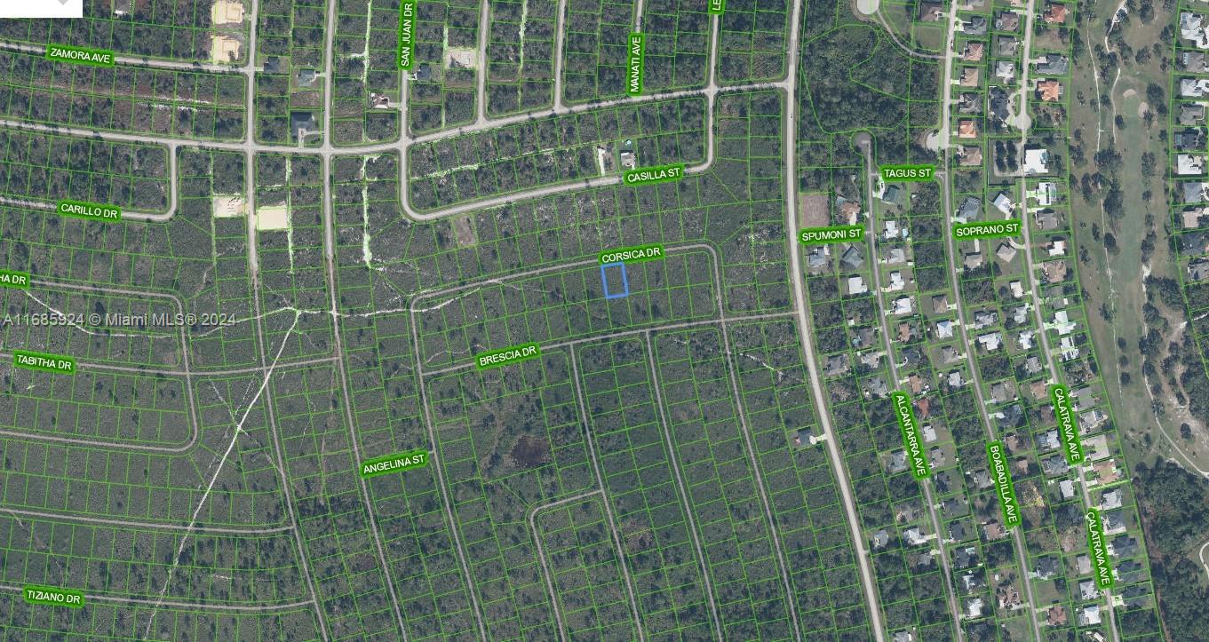 This is an aerial map showing a residential area with highlighted property boundaries — 5032 Corsica Drive, Sebring FL 33872, SEBRING, FL