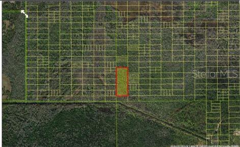 HOLOPAW GROVES ROAD, ST CLOUD, FL — photo 5 of 6