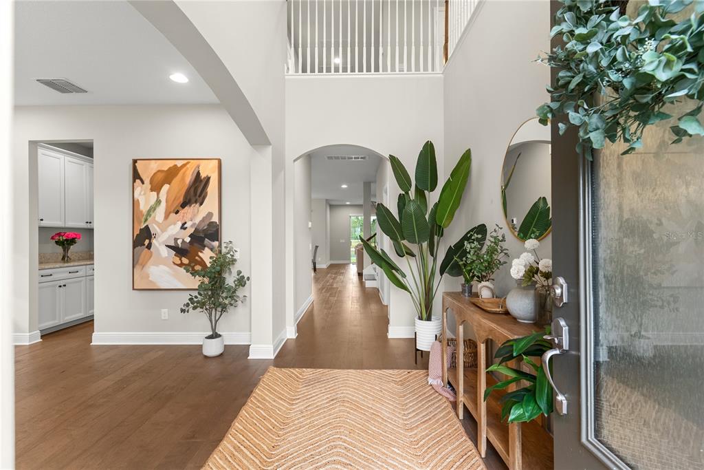 A bright entryway features hardwood floors, a wooden console table, and a large potted plant — 19361 EAGLE CREEK LANE, TAMPA, FL
