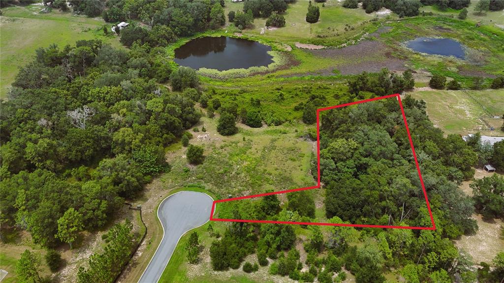 An aerial view shows a wooded residential lot outlined in red at the end of a cul-de-sac — 000 DARLINGTON AVENUE, LADY LAKE, FL